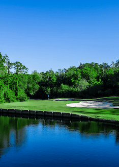 Ardea Country Club